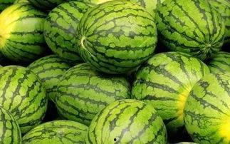 每日大赛吃瓜网入口,揭秘娱乐圈幕后风云，带你畅游八卦海洋