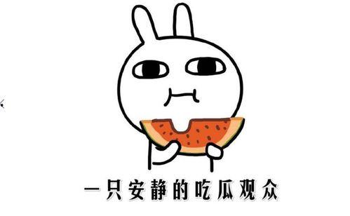 网络吃瓜啥意思是什么,揭秘虚拟世界中的围观文化